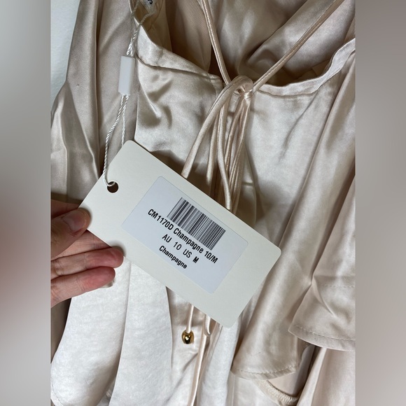 NWT Saints + Secrets Champagne Satin Dress AU 10 US M - Picture 8 of 8